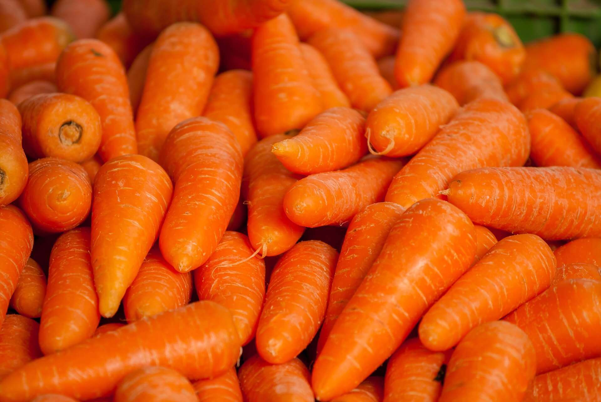 Сертификация моркови